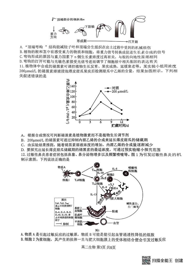 重庆巴蜀中学校2024-2025学年高二上学期期末考试生物试题 生物第3页