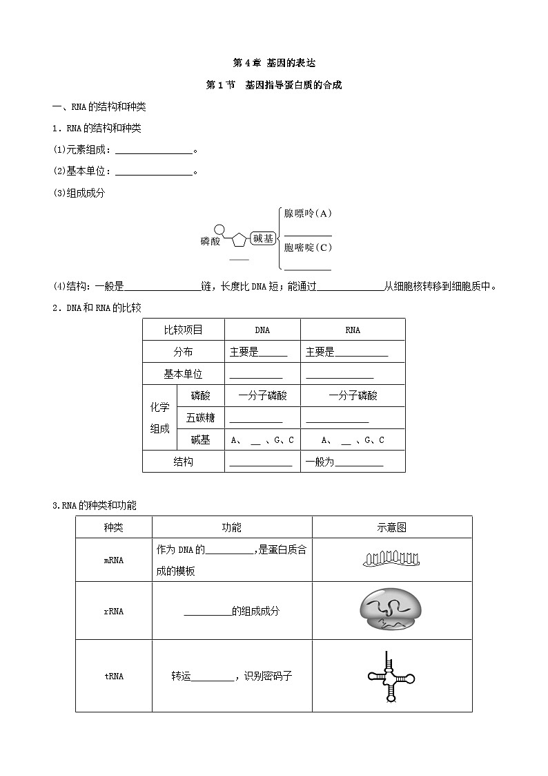 人教版高中生物必修二第4章《基因的表达》（单元知识清单）（默写版）第1页