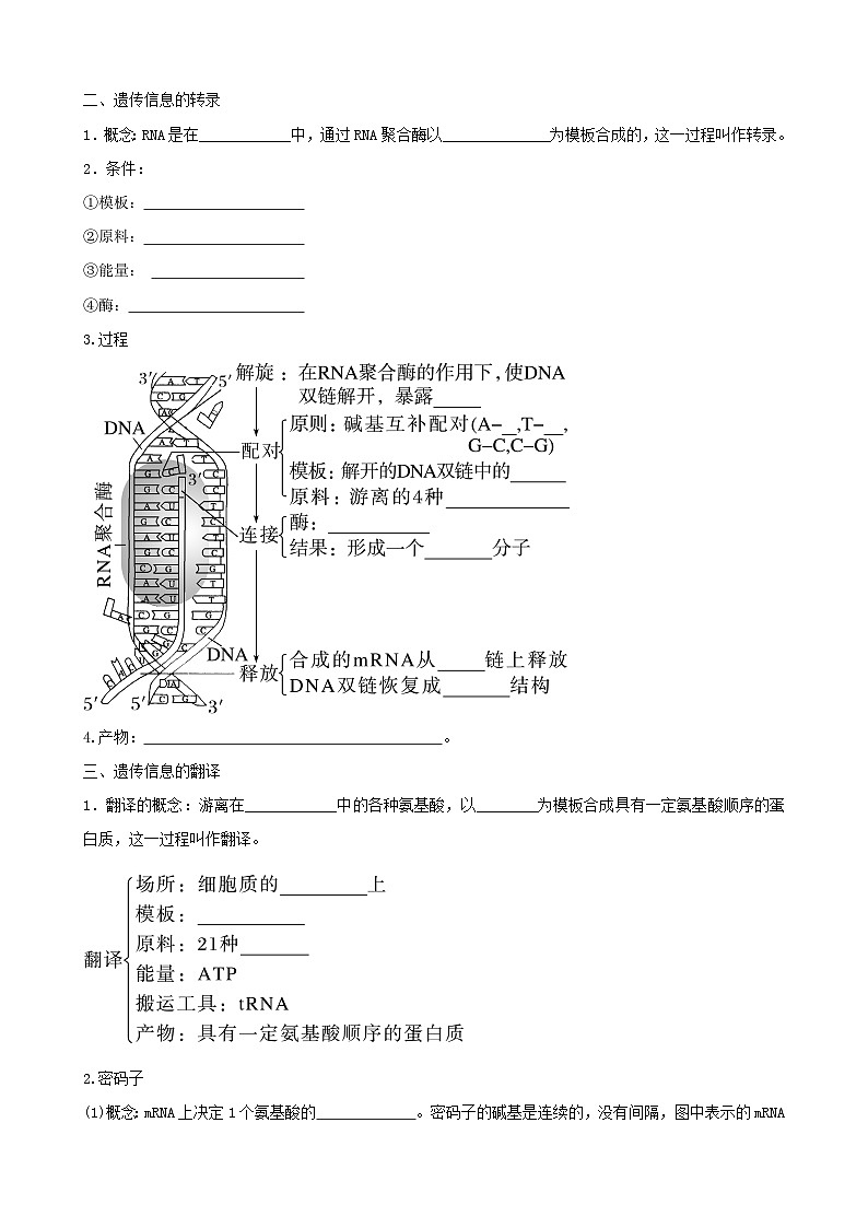 人教版高中生物必修二第4章《基因的表达》（单元知识清单）（默写版）第2页