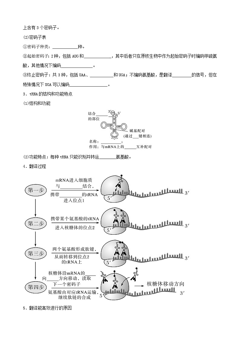 人教版高中生物必修二第4章《基因的表达》（单元知识清单）（默写版）第3页