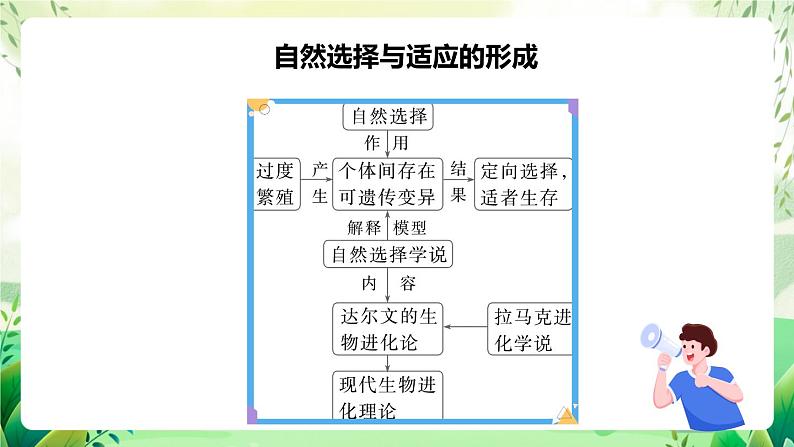 人教版高中生物必修二第6章《生物的进化》（单元复习课件）第3页