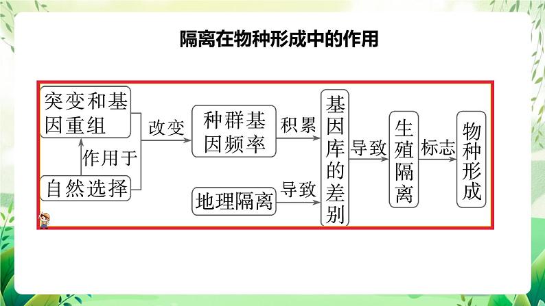 人教版高中生物必修二第6章《生物的进化》（单元复习课件）第5页