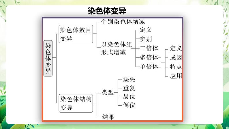 人教版高中生物必修二第5章《基因突变及其他变异》（单元复习课件）第4页