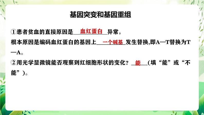 人教版高中生物必修二第5章《基因突变及其他变异》（单元复习课件）第7页