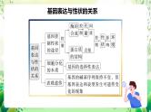 人教版高中生物必修二第4章《基因的表达》（单元复习课件）
