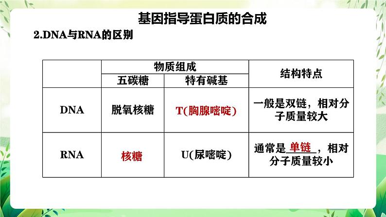 人教版高中生物必修二第4章《基因的表达》（单元复习课件）第6页