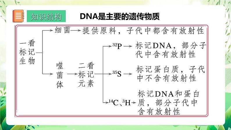 人教版高中生物必修二第3章《基因的本质》（单元复习课件）第2页