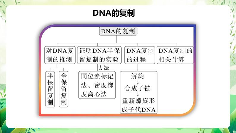 人教版高中生物必修二第3章《基因的本质》（单元复习课件）第4页