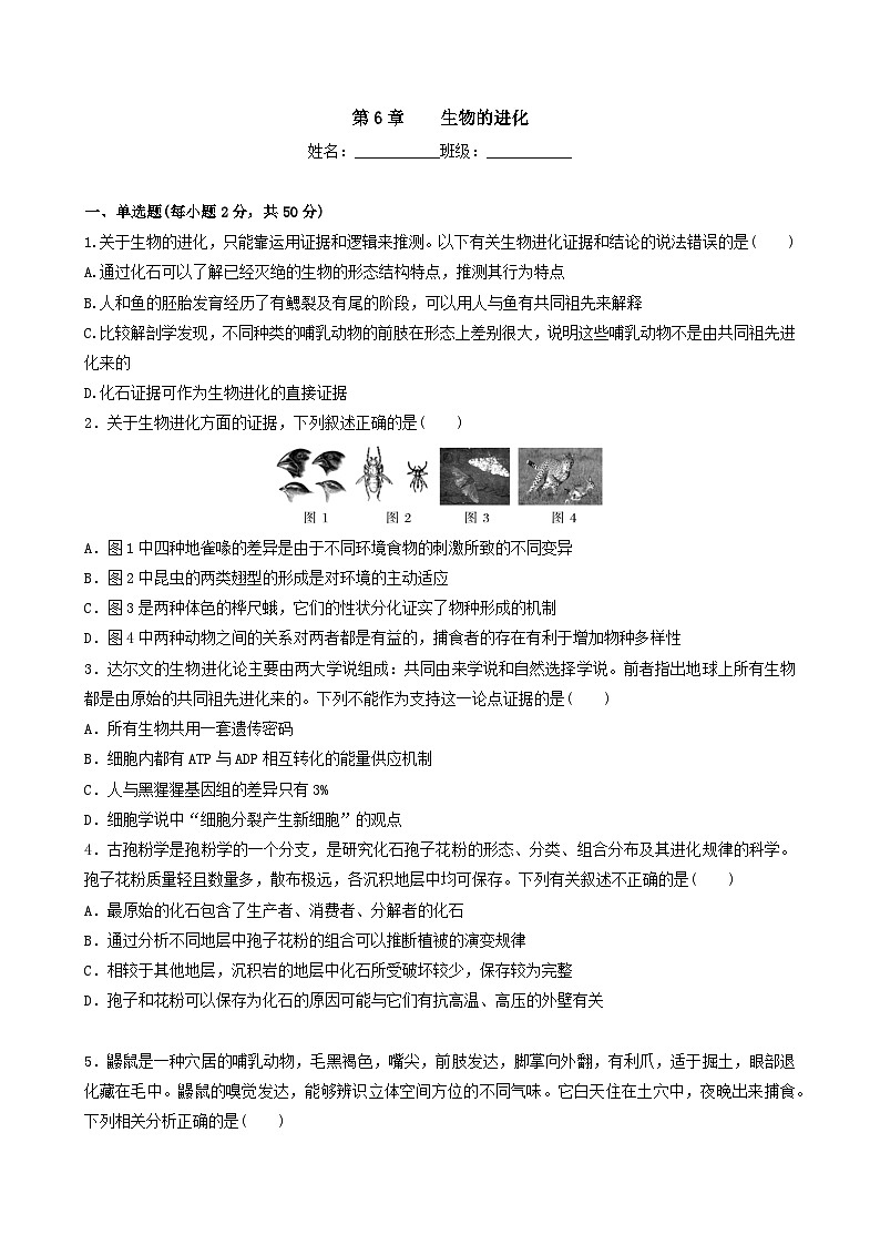 人教版高中生物必修二第6章《生物的进化》（单元检测）（原卷版）第1页