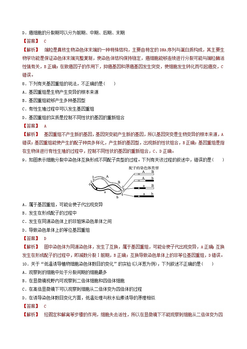 人教版高中生物必修二第5章《基因突变及其他变异》（单元检测）（解析版）第3页