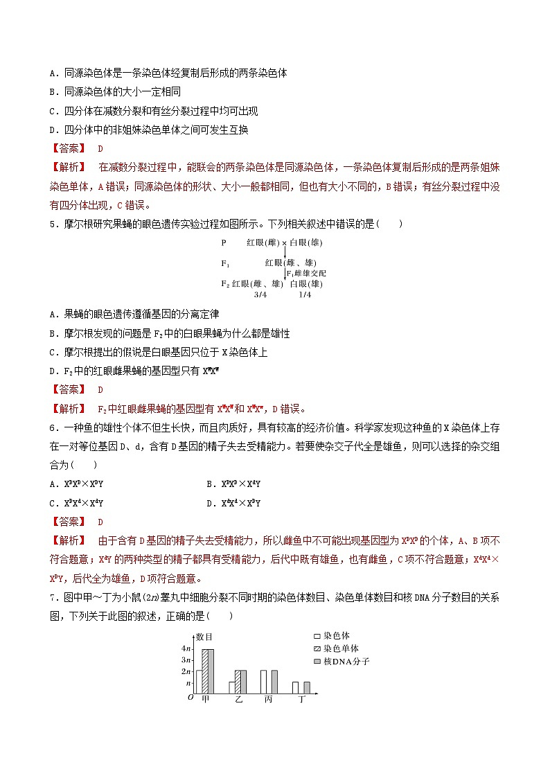 人教版高中生物必修二第2章《基因和染色体的关系》（单元测试）（解析版）第2页