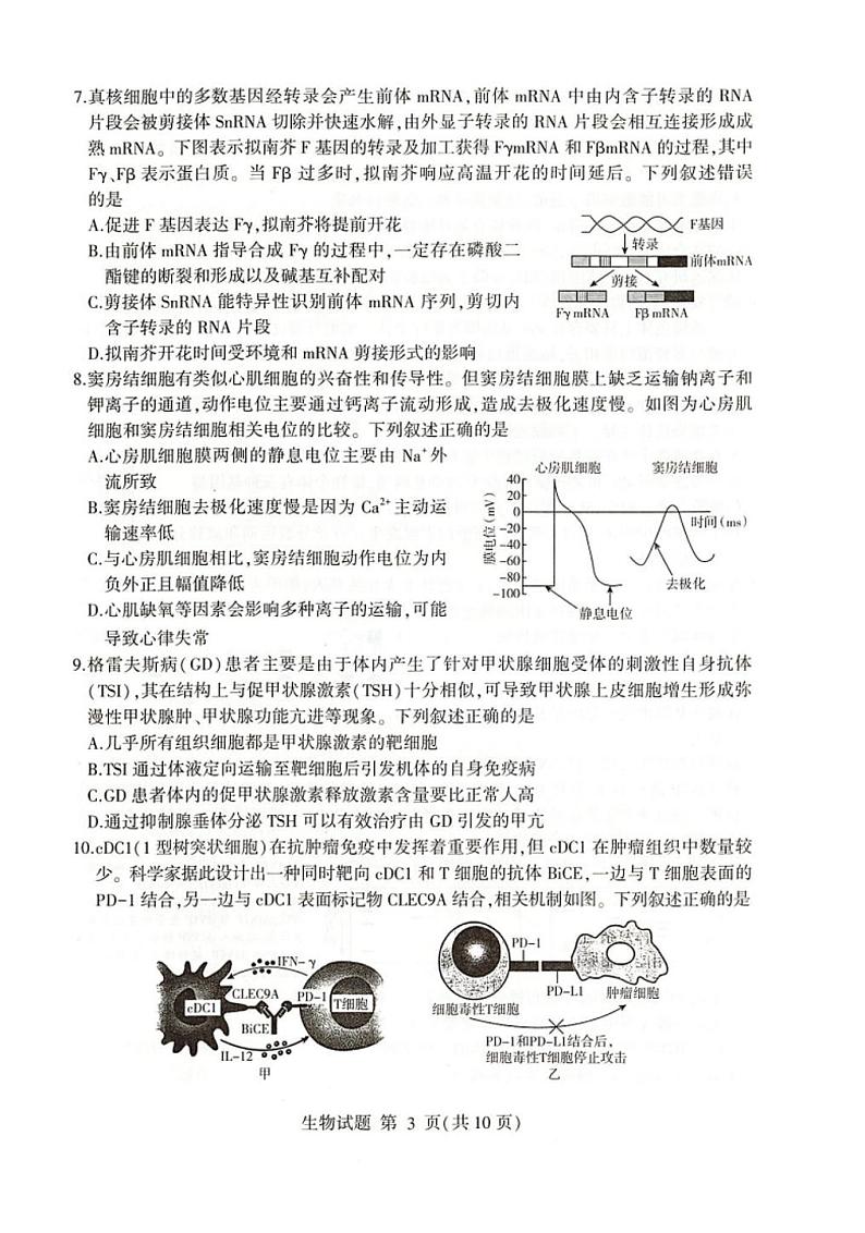 2025届山东省临沂市高三一模考试生物试题及答案第3页