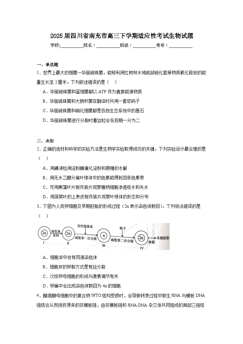 2025届四川省南充市高三下学期适应性考试生物试题第1页
