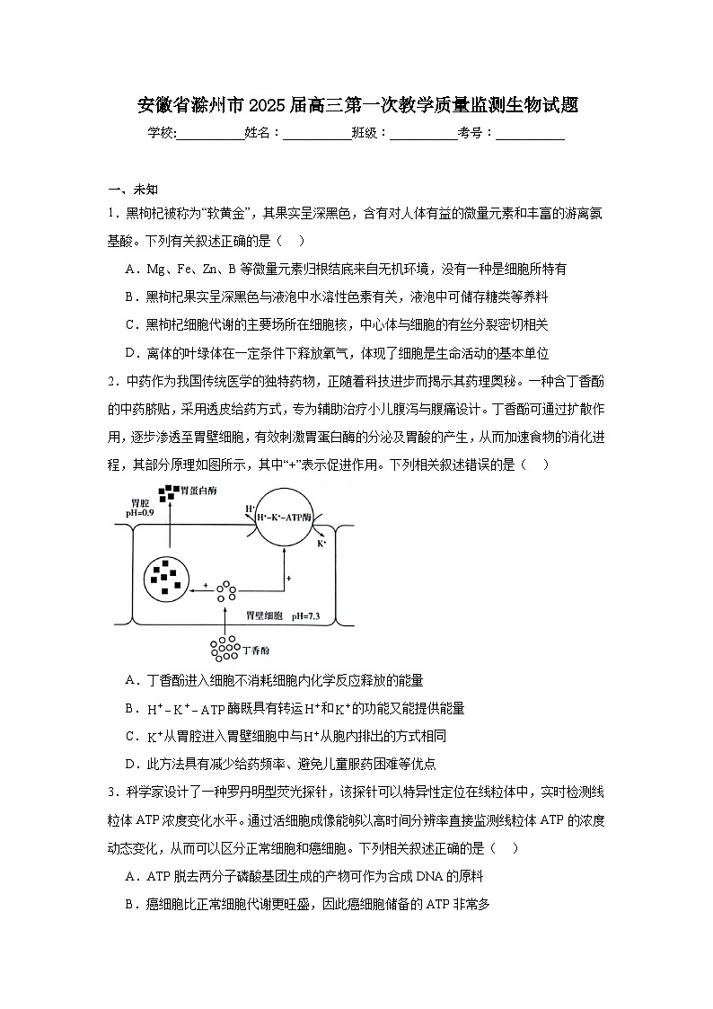 安徽省滁州市2025届高三第一次教学质量监测生物试题第1页