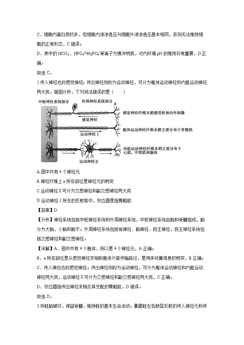辽宁省点石联考2024-2025学年高二上学期期末考试生物试题（解析版）第2页