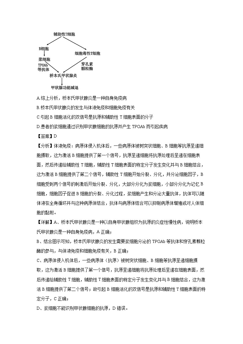 山东省青岛市四区联考2024-2025学高二上学期期末生物试题（解析版）第3页