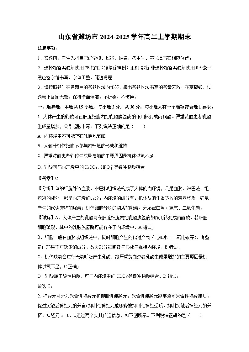 山东省潍坊市2024-2025学年高二上学期期末生物试题（解析版）第1页