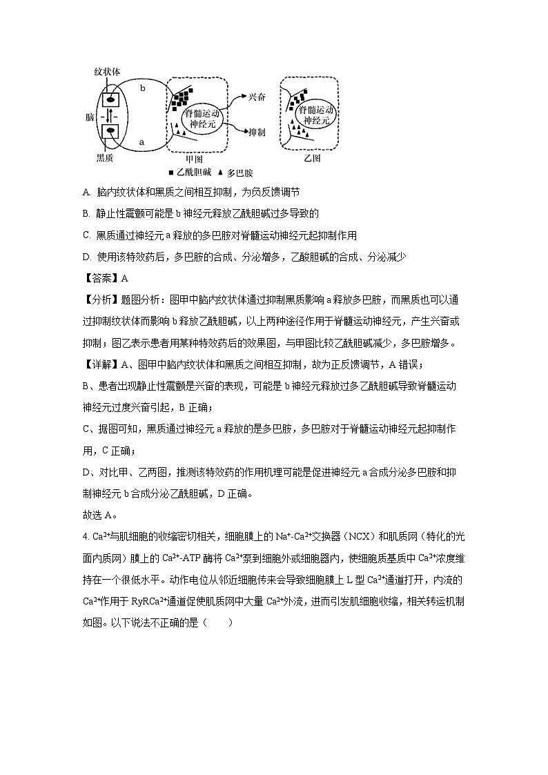陕西省西安市部分学校联考2024-2025学年高二上学期1月期末生物试题（解析版）第3页