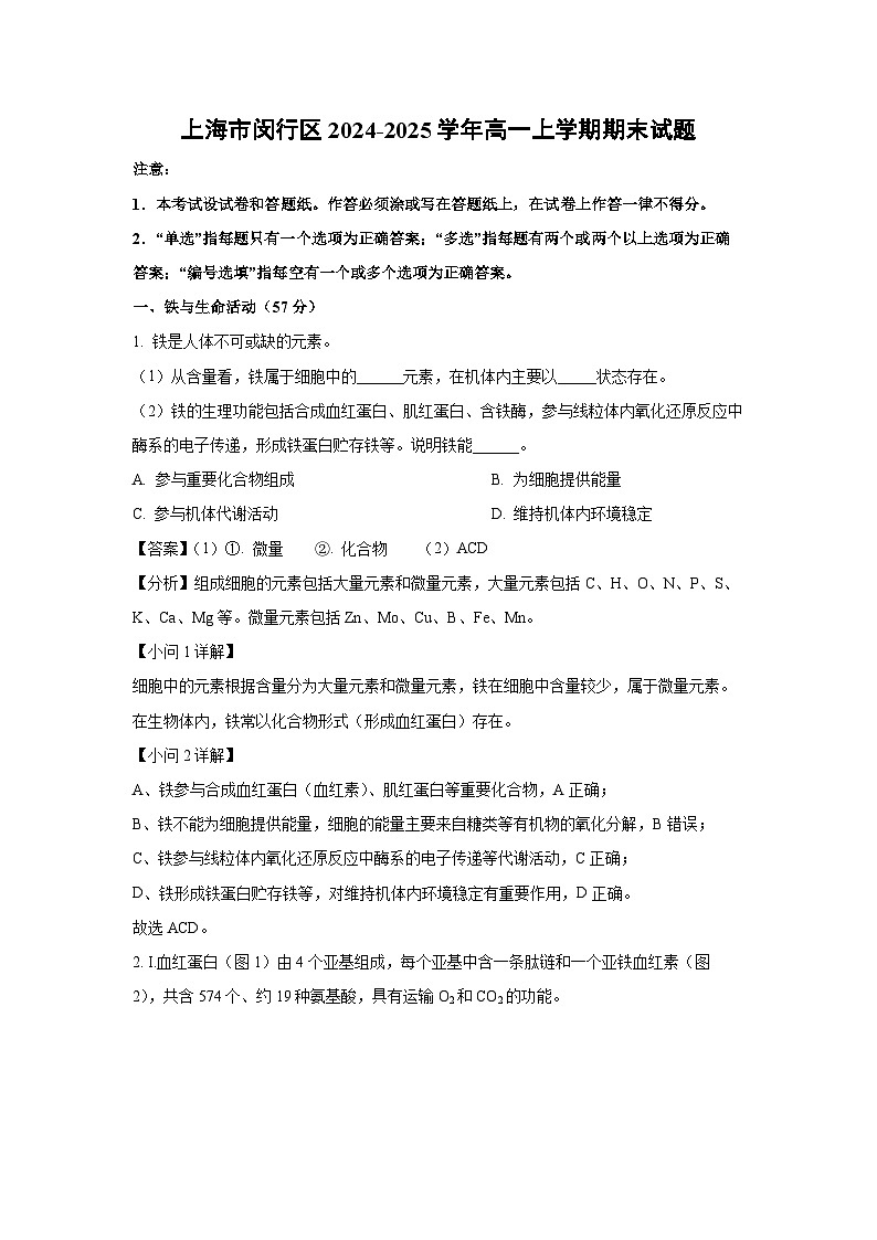 上海市闵行区2024-2025学年高一上学期期末生物试题（解析版）第1页