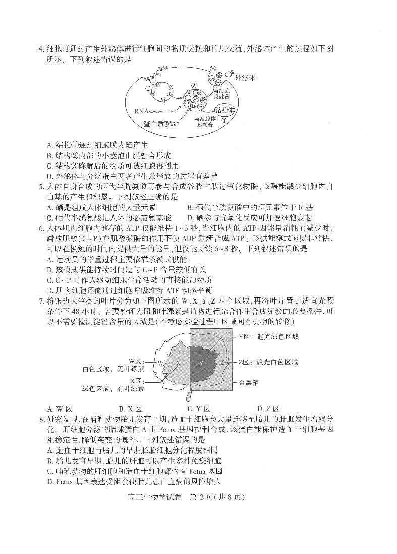【25届武汉市二月调考】生物试卷第2页