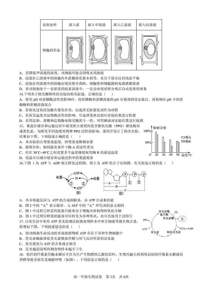生物试卷第3页