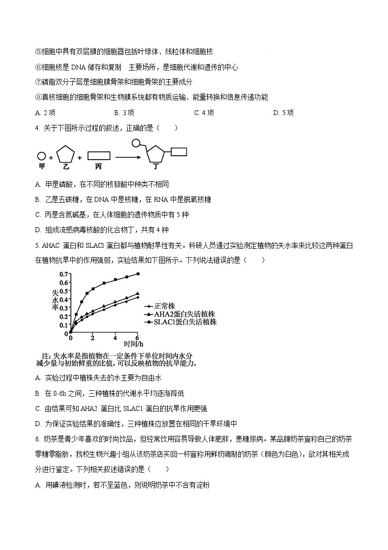 安徽省部分重点高中2024-2025学年高一上学期1月期末考试生物试题含答案第2页