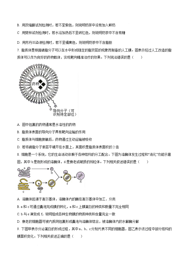 安徽省部分重点高中2024-2025学年高一上学期1月期末考试生物试题含答案第3页