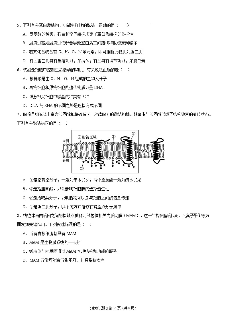 广东省中山市重点高中2024-2025学年高一下学期2月开学测试生物试题含答案第2页