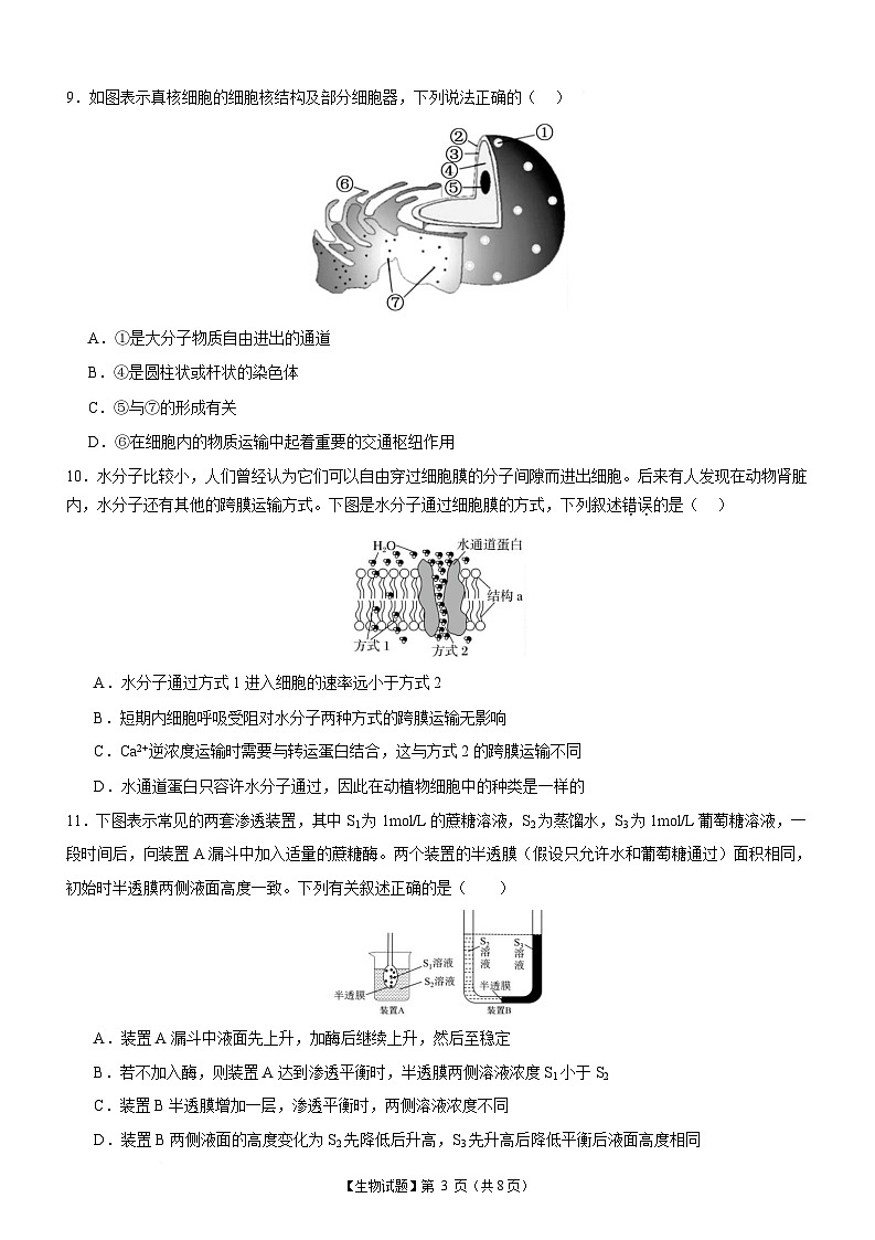 广东省中山市重点高中2024-2025学年高一下学期2月开学测试生物试题含答案第3页