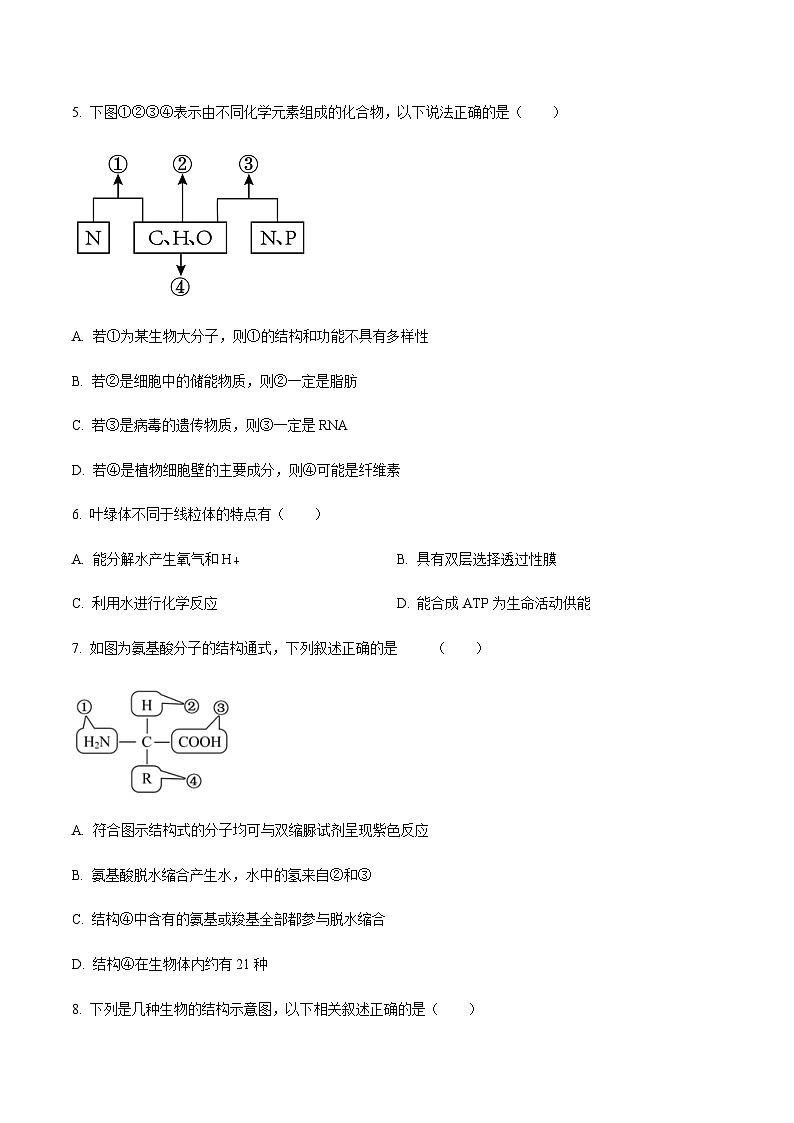 吉林省四平市重点高中2024-2025学年高一上学期1月期末考试生物试题含答案第2页