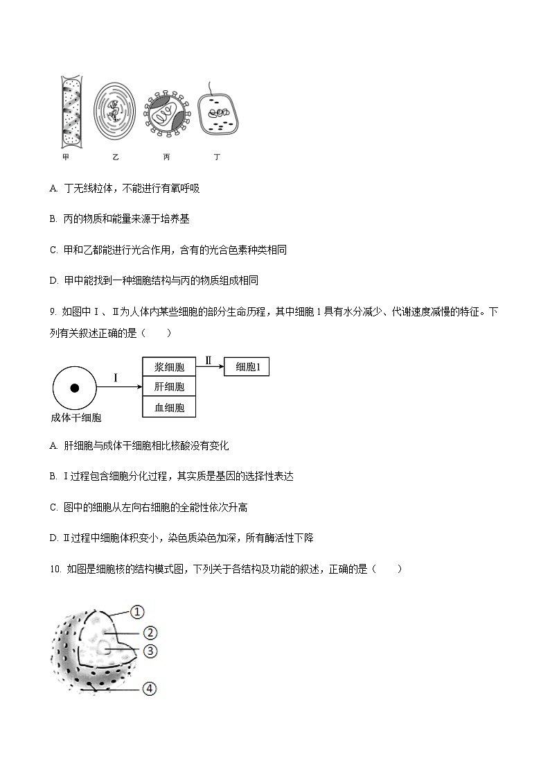 吉林省四平市重点高中2024-2025学年高一上学期1月期末考试生物试题含答案第3页