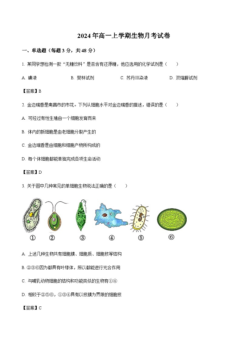 湖南省怀化市重点高中2024-2025学年高一上学期12月月考生物试题含答案第1页