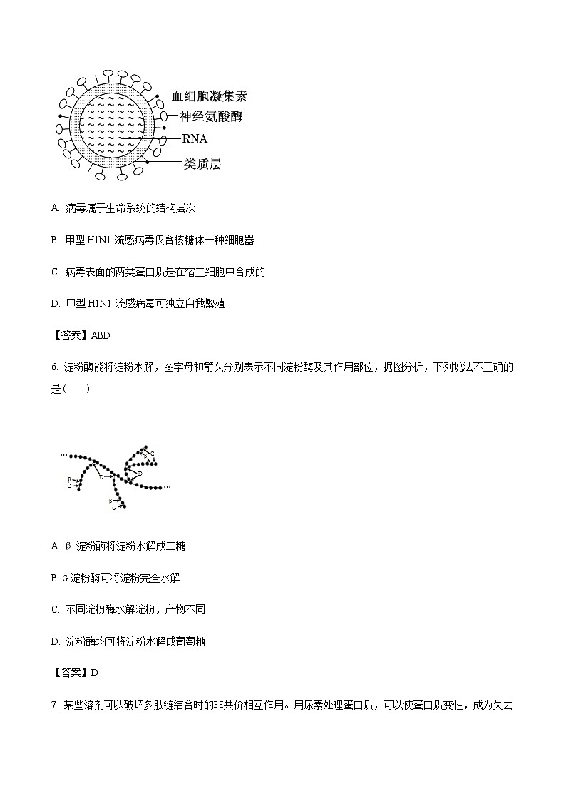 陕西省部分重点高中2024-2025学年高一上学期1月质量检测生物试题含答案第3页