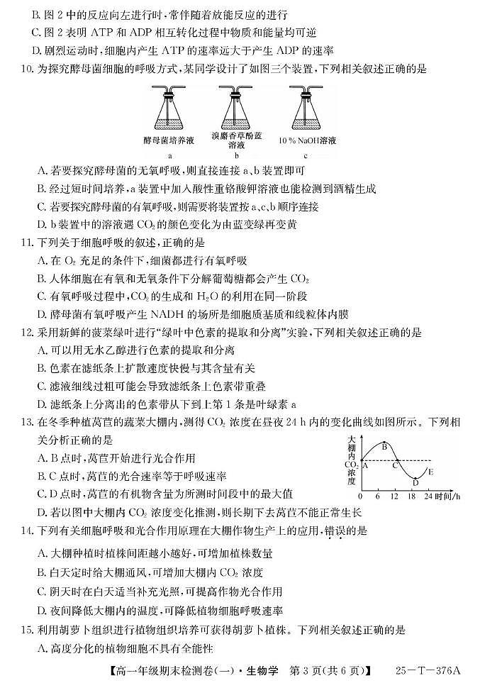 广东省东莞市重点高中2024-2025学年高一上学期1月期末考试生物试题含答案第3页