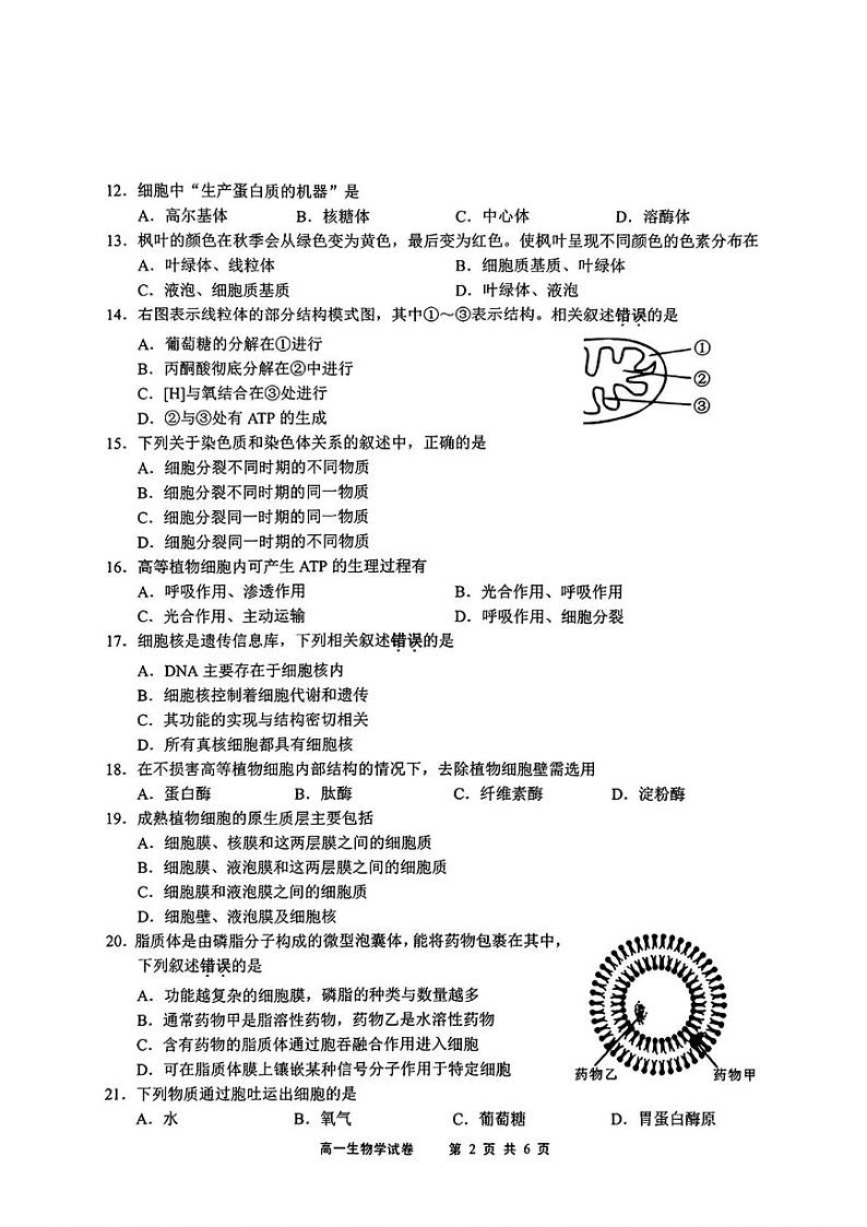 江苏省无锡市重点高中2024-2025学年高一上学期1月期末调研考试生物试题含答案第2页