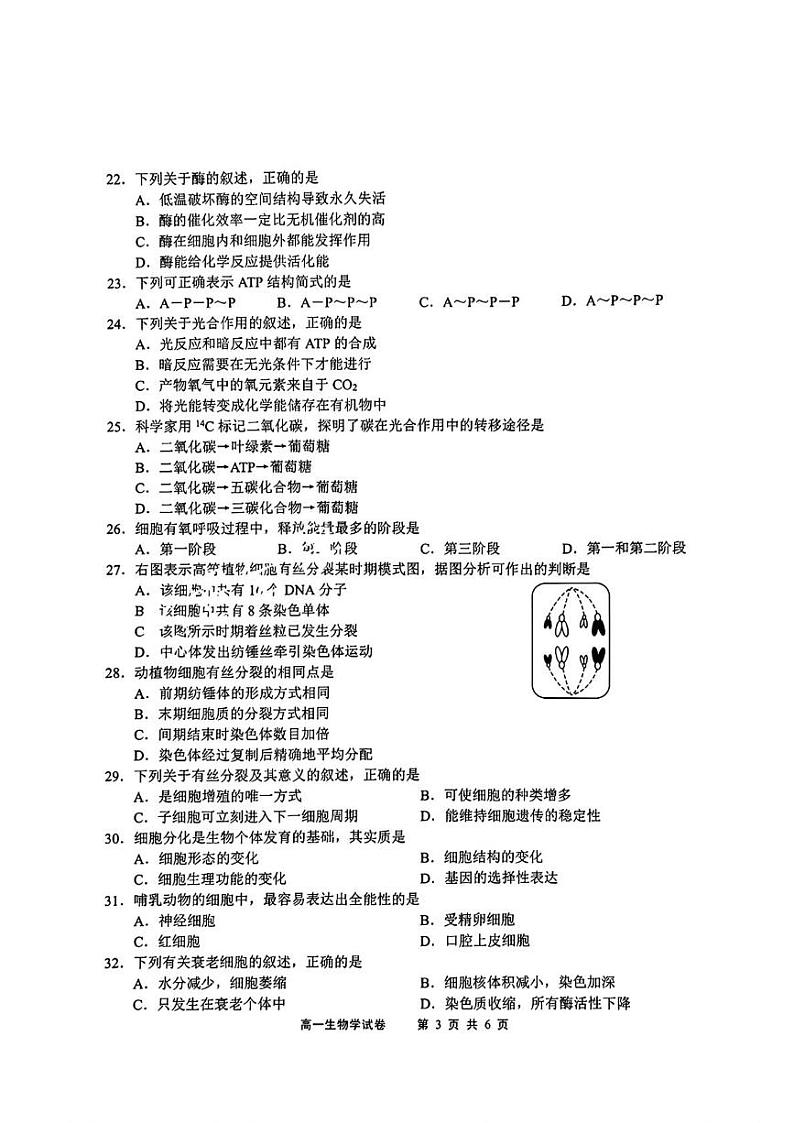 江苏省无锡市重点高中2024-2025学年高一上学期1月期末调研考试生物试题含答案第3页