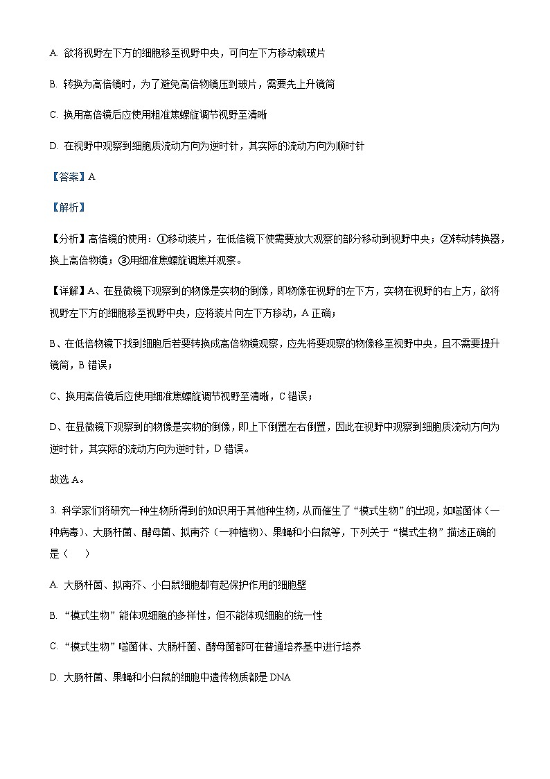 广东省惠州市重点高中2024-2025学年高一上学期11月期中考试生物试题含答案第2页