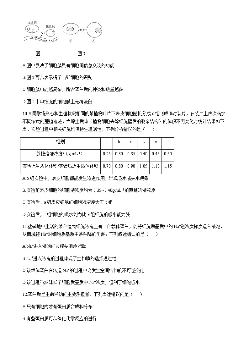河南省周口市重点高中2024-2025学年高一上学期11月期中考试生物试题含答案第3页