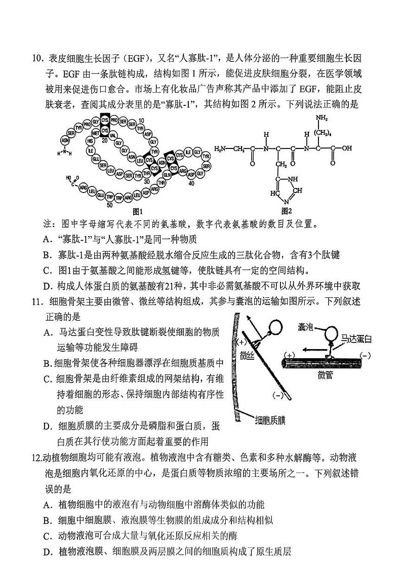 湖北省六所名校2024-2025学年高一上学期12月月考生物试题含答案第3页