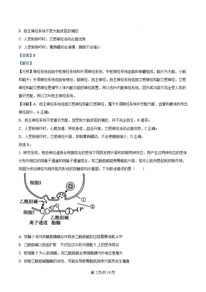 河南省周口市2024-2025学年高二上学期1月期末考试生物试题含答案第2页