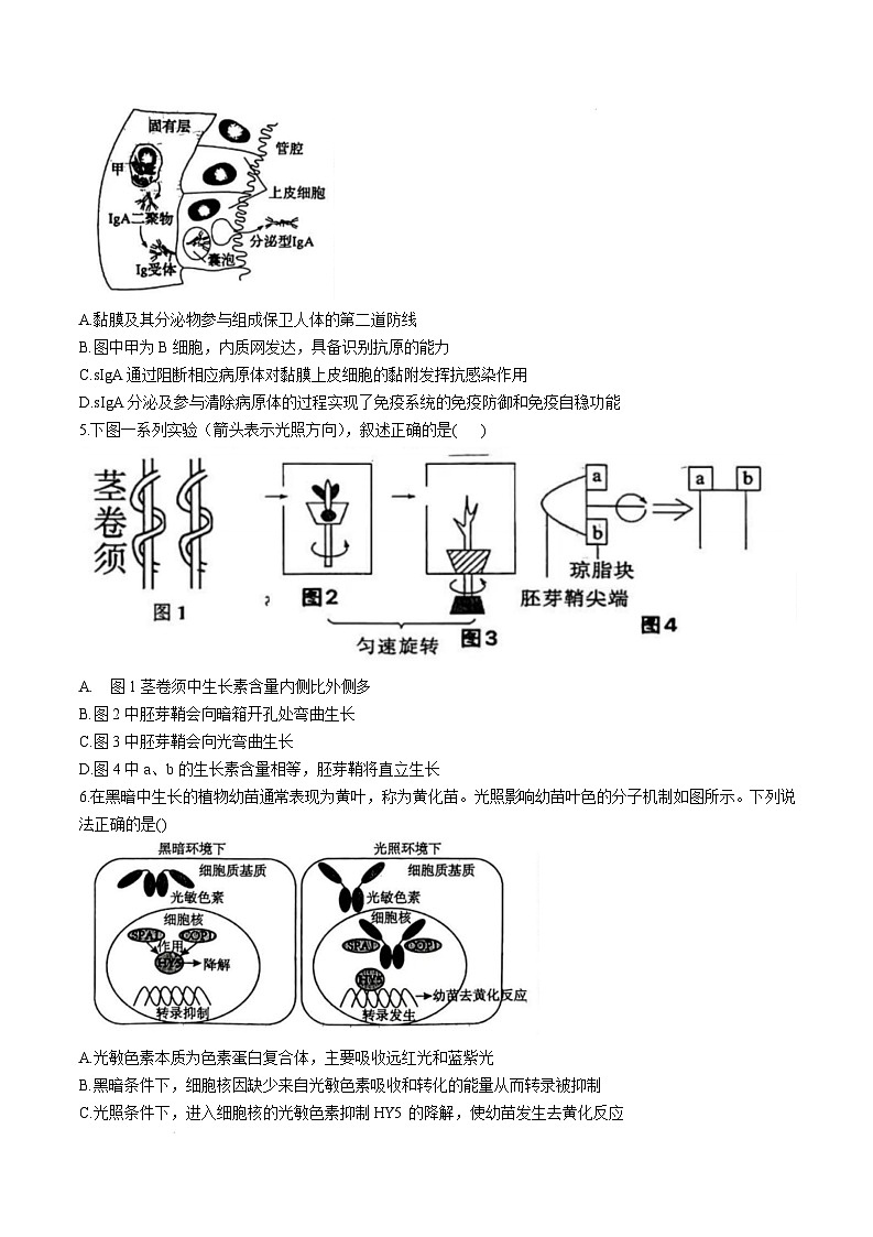 江西省赣州市2024-2025学年高二上学期1月期末质量检测生物试题含答案第2页