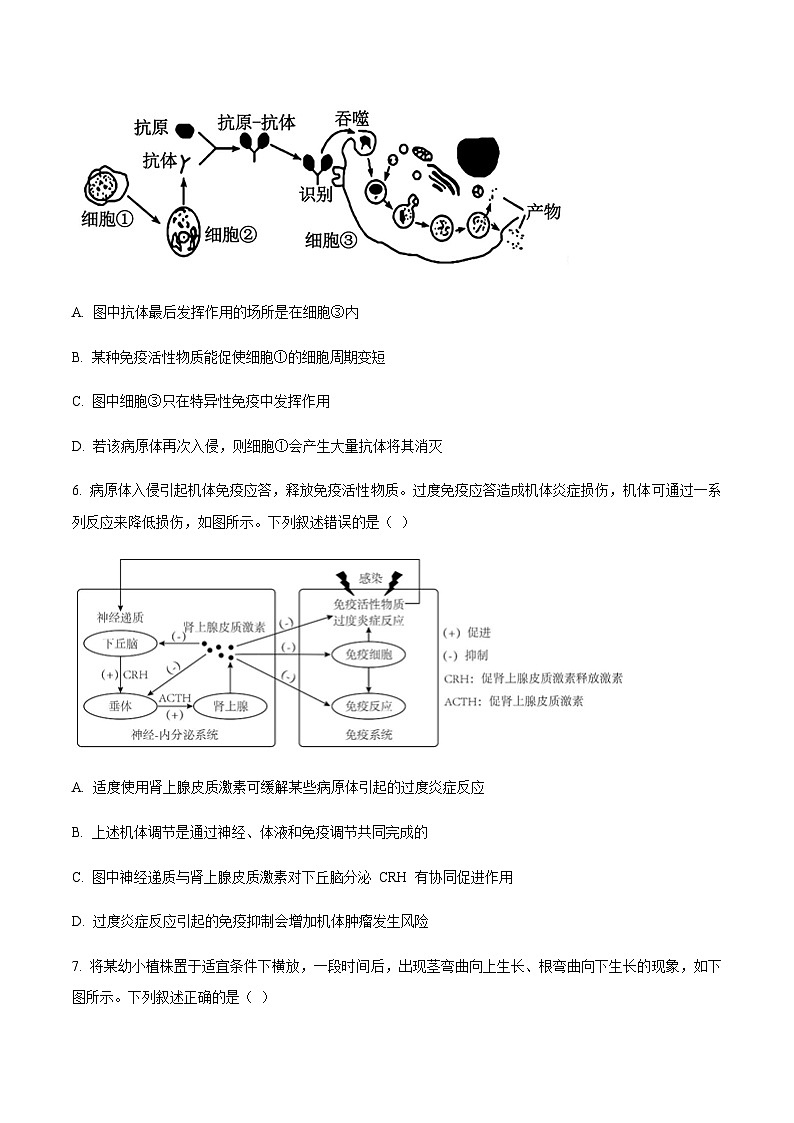 辽宁省沈阳市2024-2025学年高二上学期期末教学质量监测生物试题含答案第3页