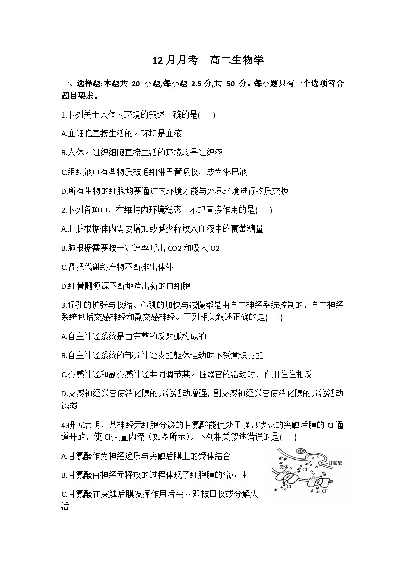 河北省沧州市重点高中2024-2025学年高二上学期12月月考生物试题含答案第1页