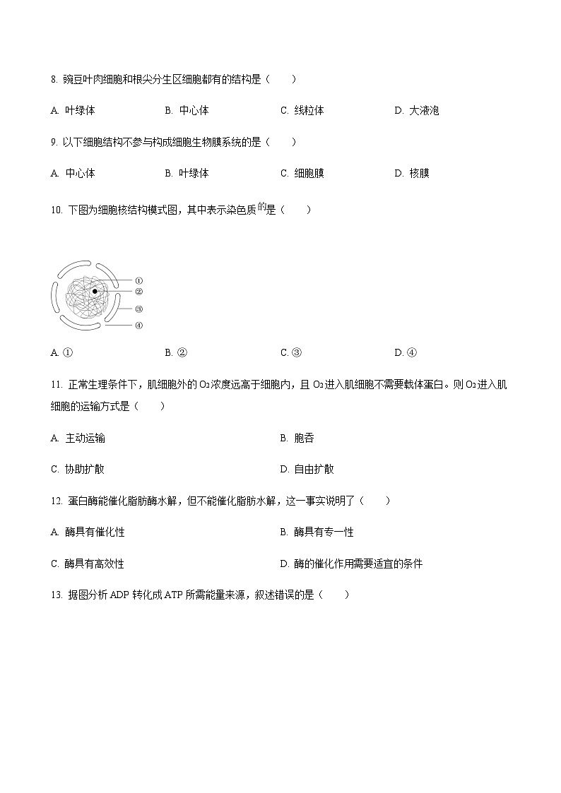江苏省部分重点高中2024-2025学年高二上学期12月阶段联测生物试题含答案第2页