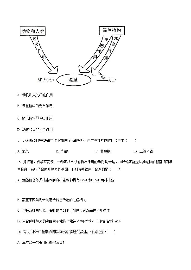 江苏省部分重点高中2024-2025学年高二上学期12月阶段联测生物试题含答案第3页