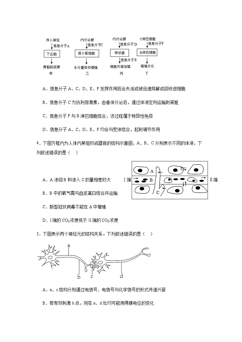 广东省清远市部分重点高中2024-2025学年高二上学期月考生物试题含答案第2页