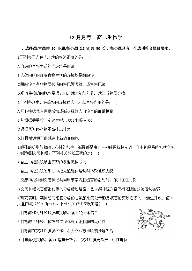 河北省沧州市重点高中2024-2025学年高二上学期12月月考生物试题含答案第1页