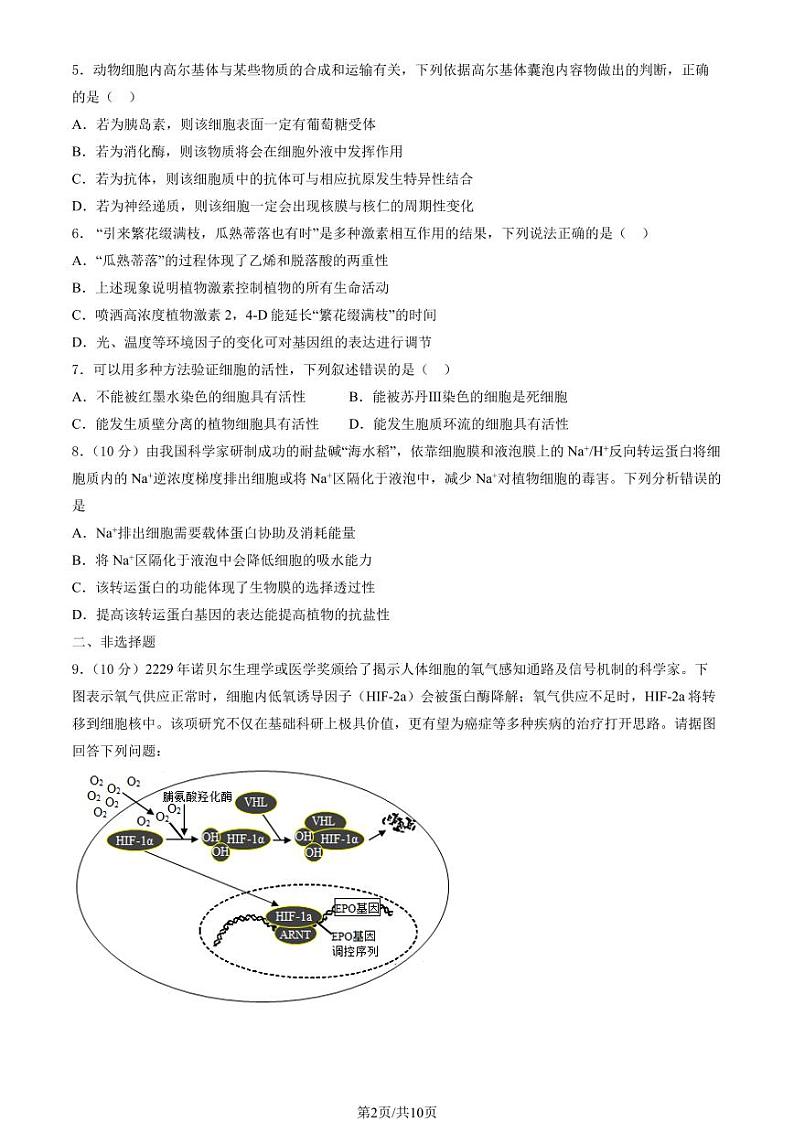 2025北京一零一中高三（上）期末生物试卷（有答案）第2页