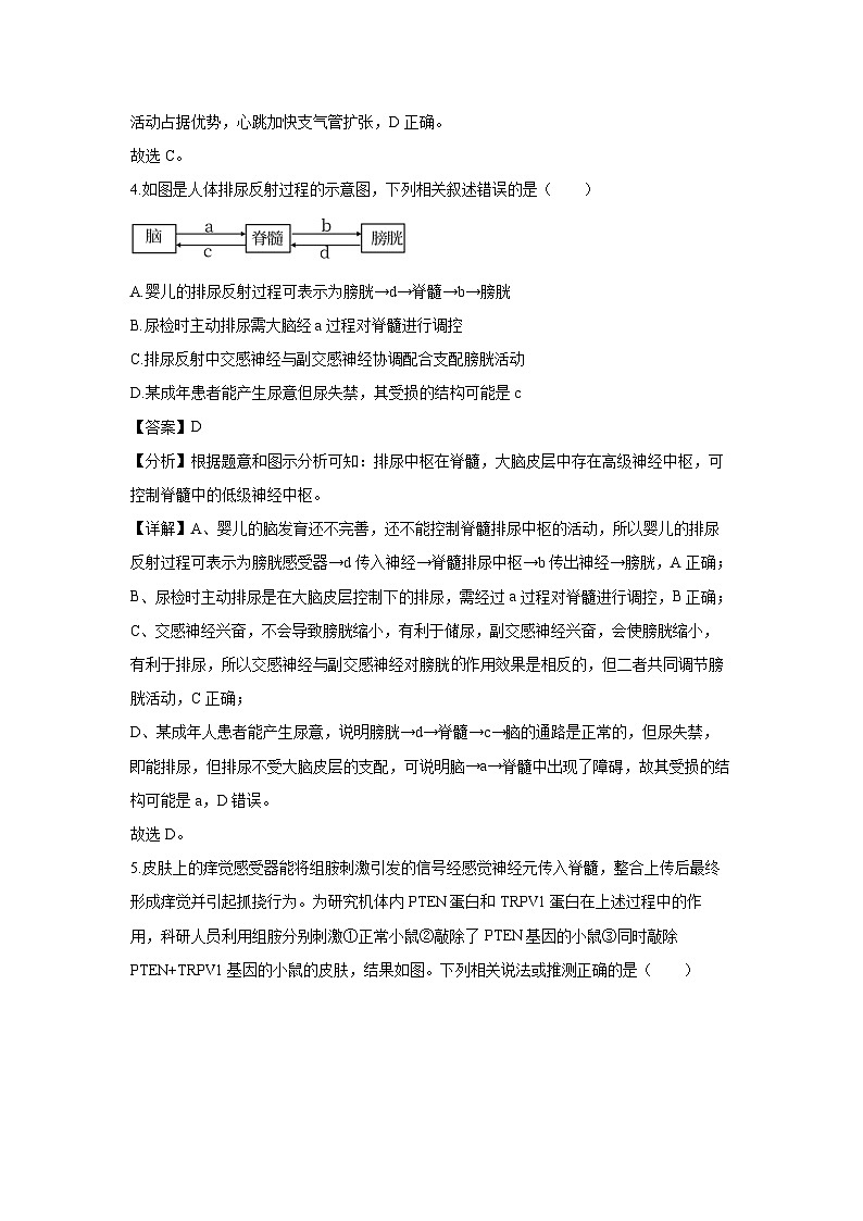 吉林省八校2024-2025学年高二(上)1月期末生物试卷（解析版）第3页