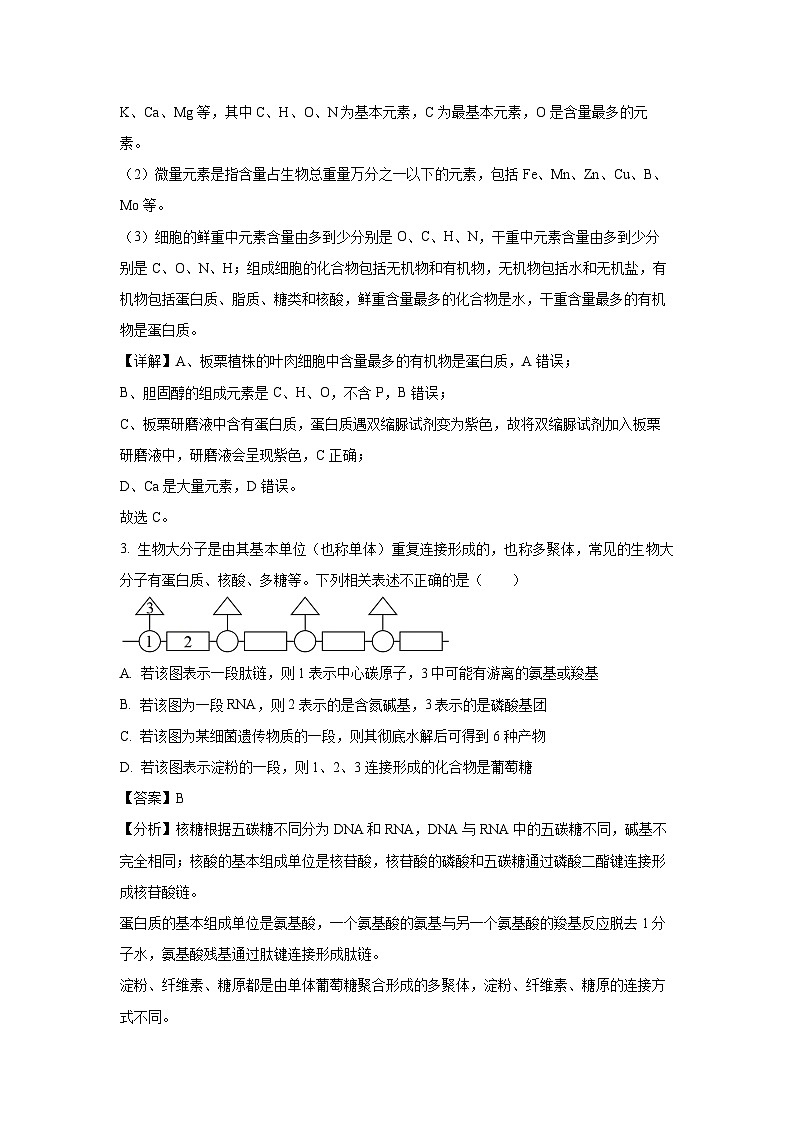 四川省眉山市仁寿县2024-2025学年高三上11月期中校际联考生物试卷(解析版)第2页
